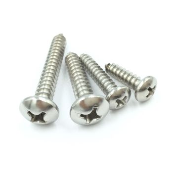 Customize Screw Pan Head Self Tapping Screw