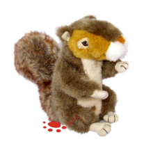 Squirrel Character ?Plush Stuffed Pets Toys