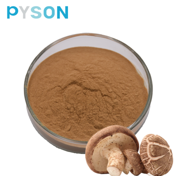 Shiitake-Pilzpulver Polysaccharide 50%