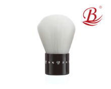 Promotions! kabuki brush