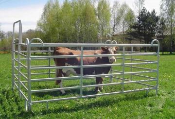 Galvanized Used Corral Panels, Livestock Metal Fence Panels, Used Horse Fence Panels