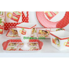 dolce pasta-melamine