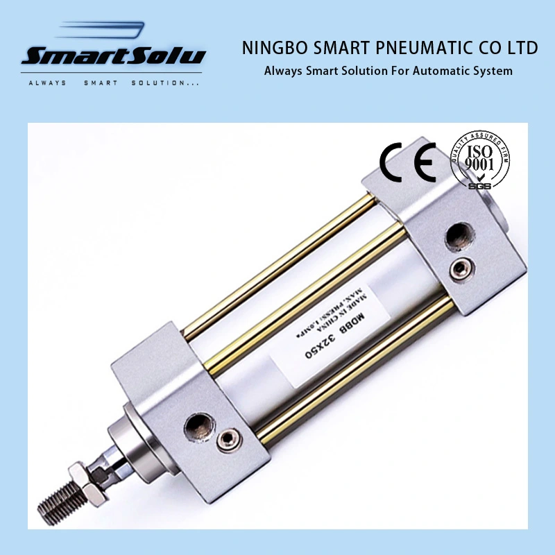 Spring Return Double Rod Stainless Miniature Boosting Pneumatic Air Cylinder