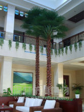 Outdoor Artificial Middle East Canary Palm tree