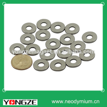 Rare Earth Ring Shape Small Magnets For Sale