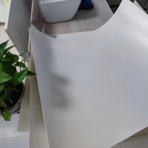 100% Biodegradable Polylactic Acid PLA Sheet Roll