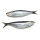 fryst sardinfisk fryst skaldjur
