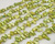 wholesale lightgreen 8-9mm big irregular baroque blister freshwater pearl