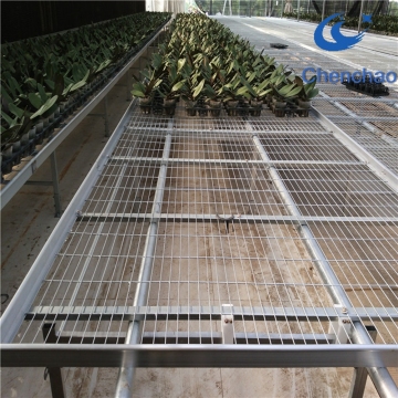 HOT SELLING High-Quality Greenhouse Seedbed Net for Flower Saplings