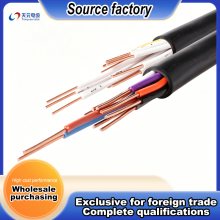 Advanced Anti-Interference Control Wiring