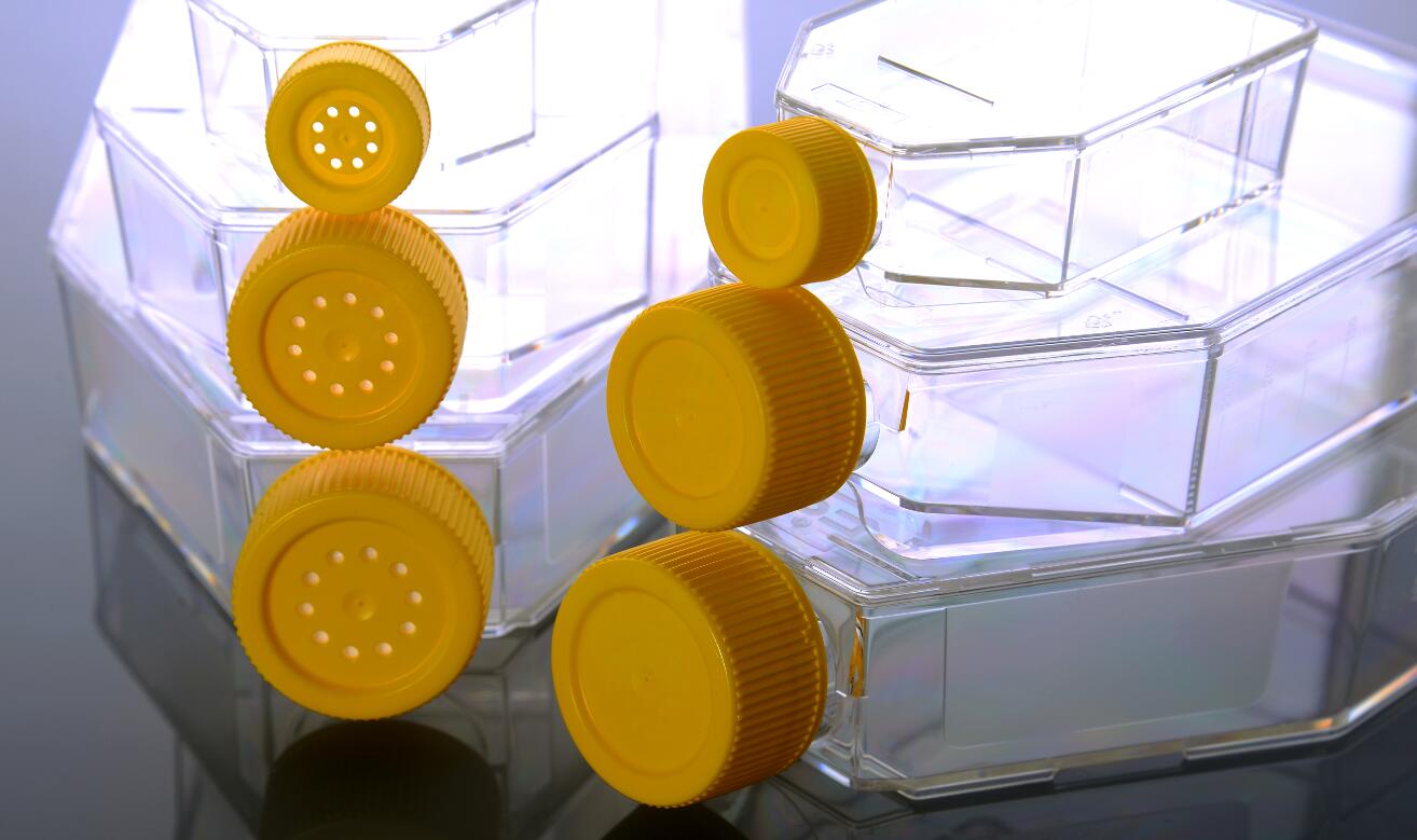 Cell Culture Flask Cell Culture Flask