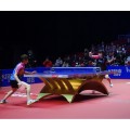 Mata do tenisa stołowego Enlio Ping Pang podłoga sportowa
