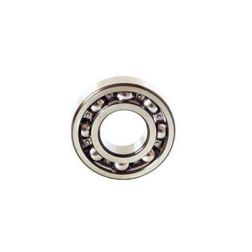 Single Row Deep Groove Ball Bearing (6021)