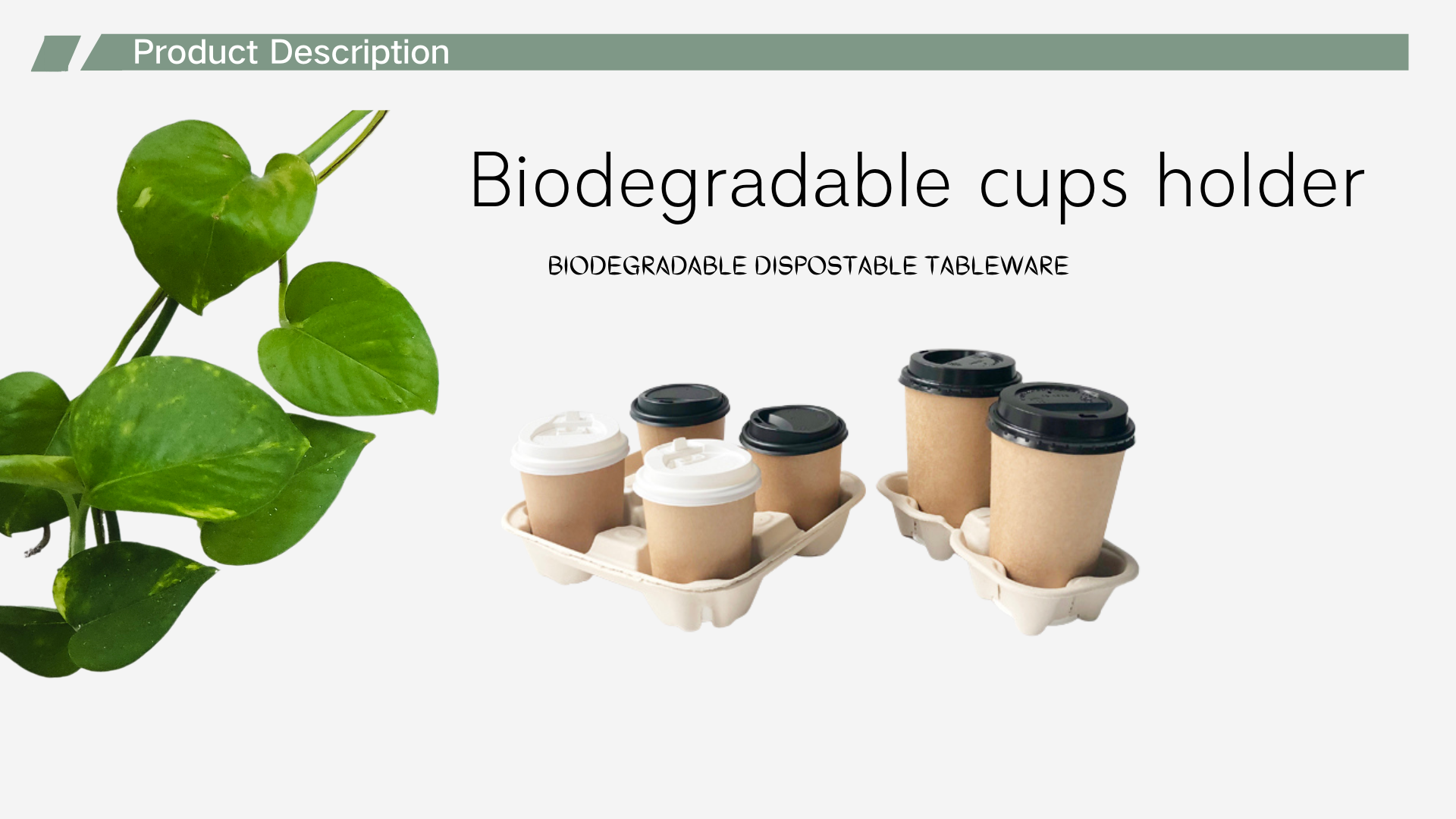 Bagasse Pulp material 4 cups holder