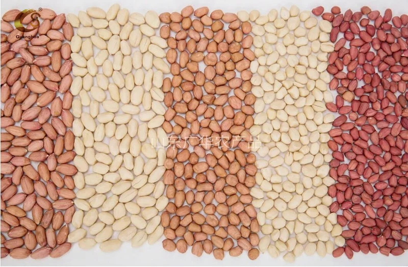 Best Quality Healthy New Crop Special Hot Sale Red Skin Peanut Kernels