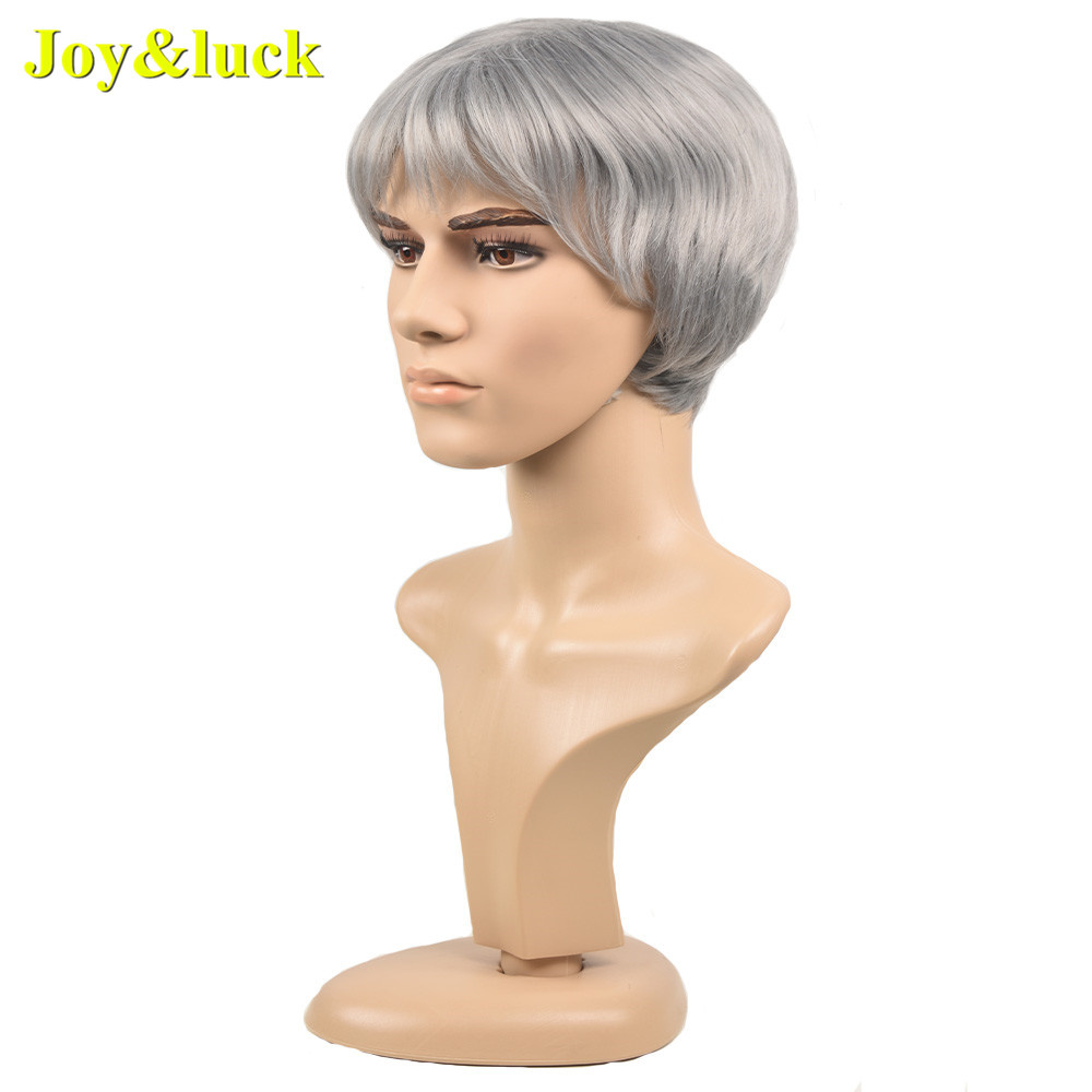 wholesale Silver Grey male Hairstyle for mens Daily party or cosplay wig man straight men wigs short Natural synthetic hair wigs