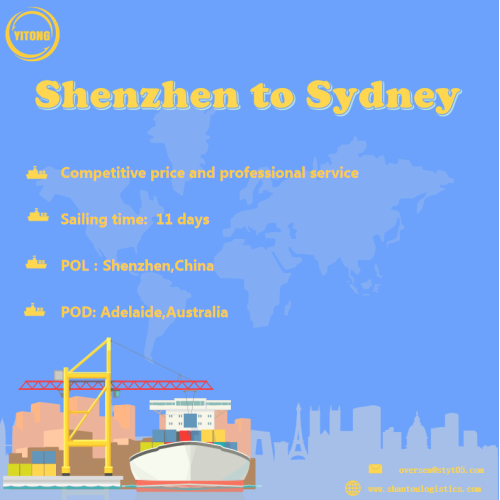 Service de fret maritime de Shenzhen à Sydney Australie