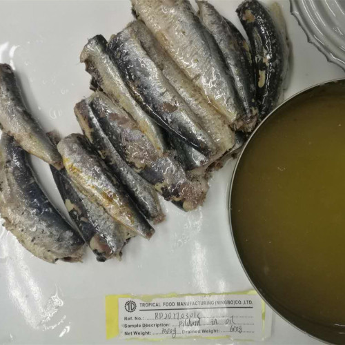 1000G Canned Sardines In Vegetable Oil