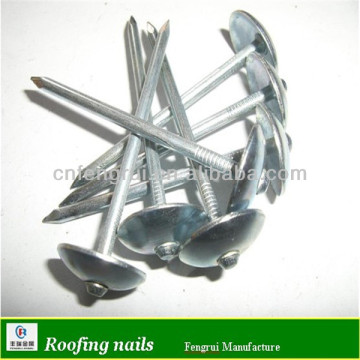 10G galvanized flat head roofing nail factory