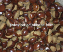 Chinese Chestnuts