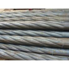 Abnormal Shape Street Light Poles