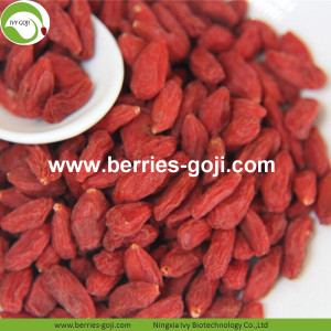 Factory Wholesale Price Buy Wolfberry