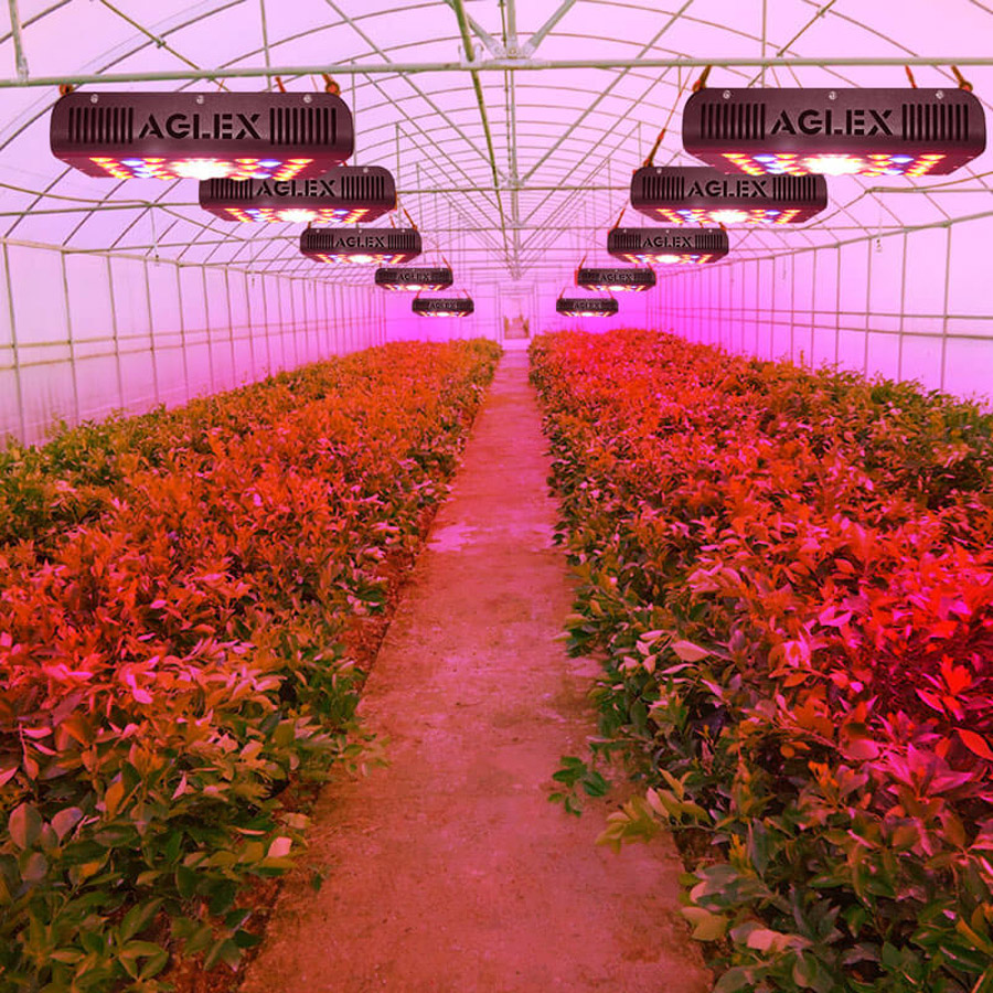 Full Spectrum LED Grow Light 600 W plantas interiores