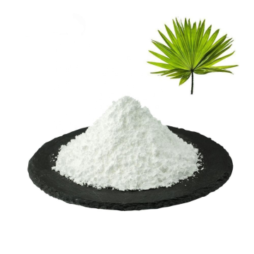 Saw Palmetto Berry Extract