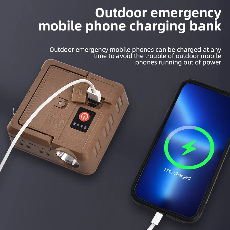 Rechargeable LED Camping Bulb with USB Power for Adventures