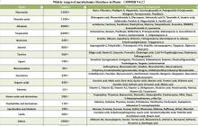 Widely-targeted Metabolomics Database in Rice