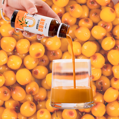 Superfood Sea Buckthorn Juice