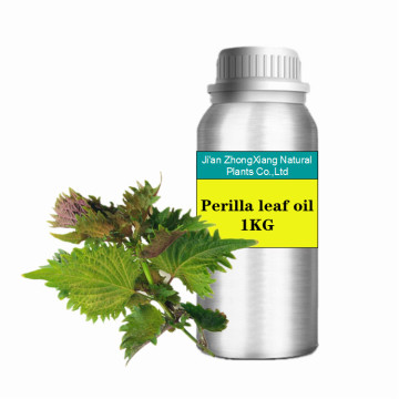 Pure Natural Aromatic Perilla Leaf Essential Oil