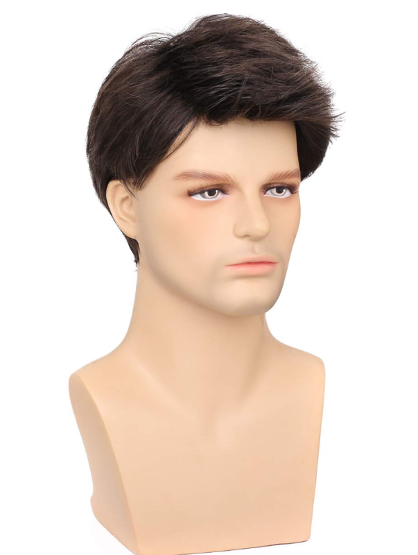 Short Dark Brown Layered Synthetic Wig for Men