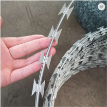 Galvanized Razor Wire Coils Used On Ships