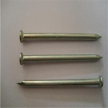 Galvanized Steel Concrete Nails