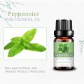 Olio essenziale di menta piperita puro OEM al 100% per diffusore