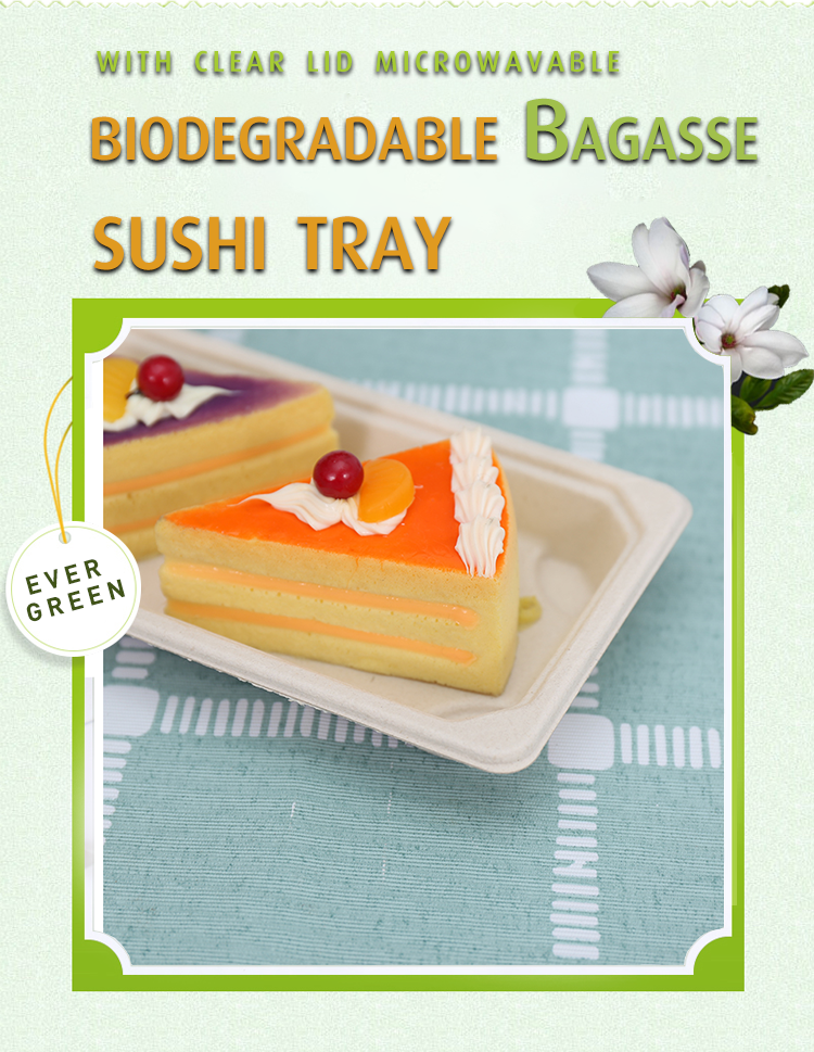  Sugarcane Bagasse Box