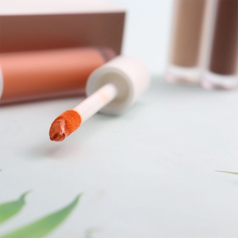 Hot Selling Concealer Cover Acne Private Label Concealer Foundation Long Lasting