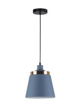Simple Hanging Lamp LED Pendant Interior Light