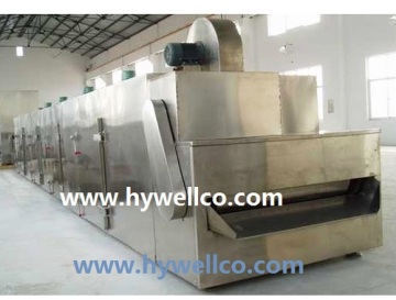 DW Series Continuous Mango Drying Machine