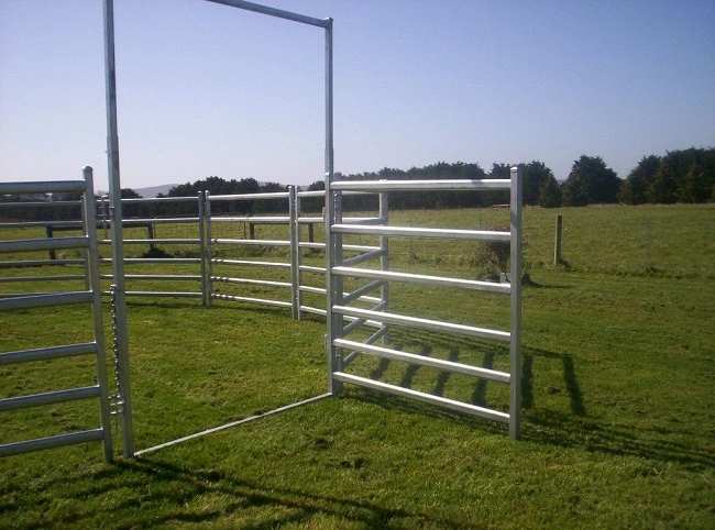 Australia Heavy Duty Galvanized 6 Oval Rail Livestock Panel Horse Panels Factory