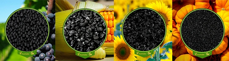 Organic Fertilzier 70% Humic Acid From Leonardite