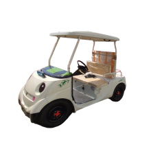 Open 2-seater electric sightseeing car