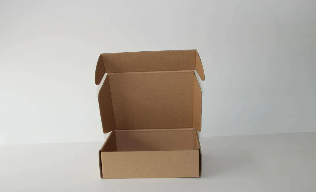 Paper Corrugated Cardboard Pizza Box for Food Packaging