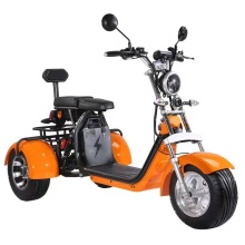 Citycoco Electric Tricycle Mobility Scooter