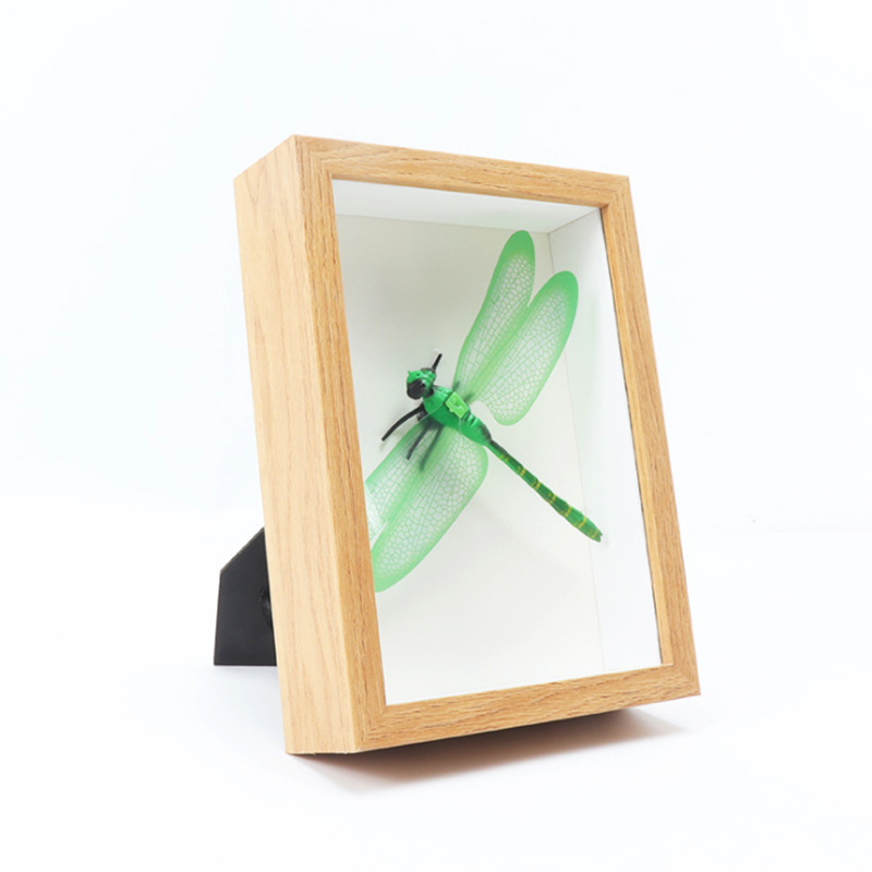 Butterfly Specimens Frame 3D Deep Glass A4 Shadow Box Photo Frames