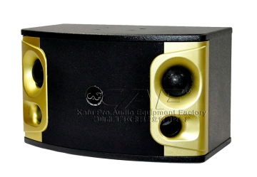 Professional Karaoke Speakers