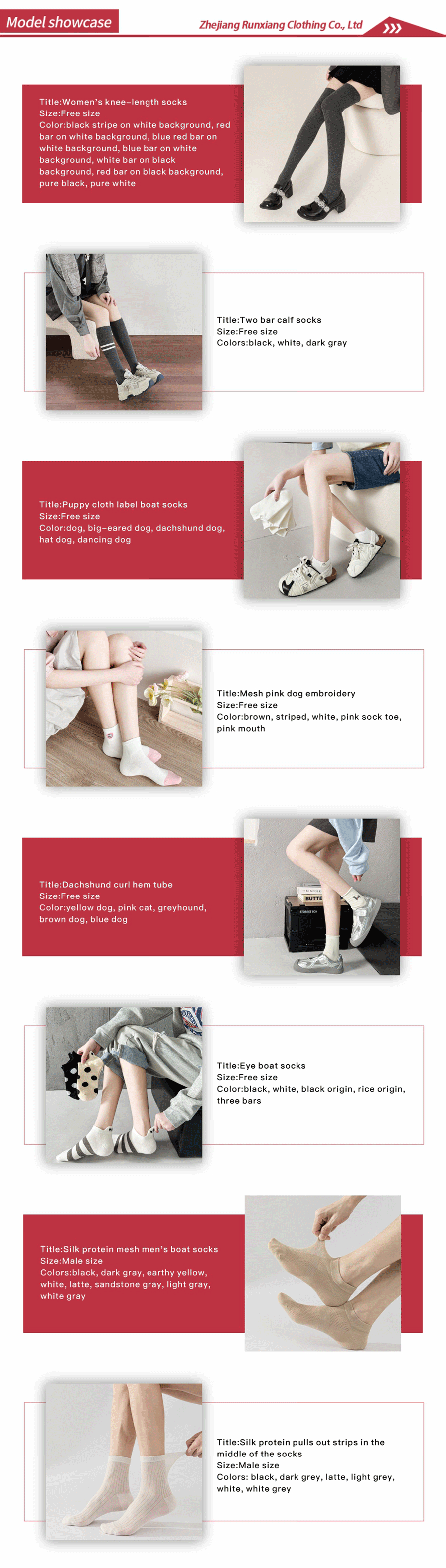 plantilla 003 template 003