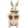 Thỏ với cà rốt trang trí Phục sinh