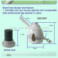 2013 3 in 1 electric ozone facial steamer recover the skin model OHFS-04